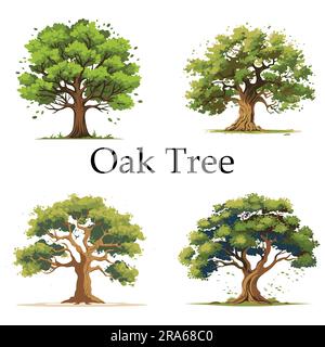 Vektordesign mit flachem Eichenbaum Stock Vektor