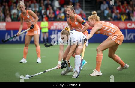 Antwerpen, Belgien. 01. Juli 2023. Die belgische Charlotte Englebert kämpft für den Ball während eines Hockeyspiels zwischen der belgischen Nationalmannschaft Red Panthers und den Niederlanden, das am Samstag, den 01. Juli 2023 in Antwerpen stattfand, Spiel 9/12 in der Gruppenphase der Women's FIH Pro League 2023. BELGA PHOTO VIRGINIE LEFOUR Kredit: Belga News Agency/Alamy Live News Stockfoto