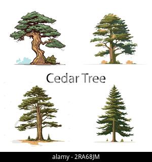 Ein Satz flacher Zedernbaum-Vektorbilder Stock Vektor