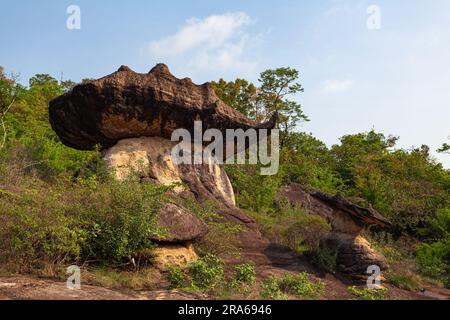 Die Morgensonne scheint auf die vielen großen, wunderschönen Felsen, die die Klippen säumen. Zahlreiche seltsam geformte Felsen auf den Klippen. Eine große Zahl Stockfoto