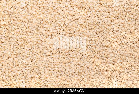 Geschälte weiße Sesamsamen, Oberfläche, von oben. Sesamum indicum, auch benne genannt. Gängige Zutat in Küchen auf der ganzen Welt, mit nussigem Geschmack. Stockfoto