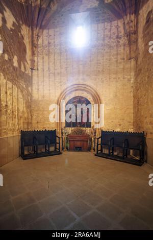 Ivy Chapel (Capilla de la Yedra) in Basilica de Santa Maria de los Reales Alcazares - Ubeda, Jaen, Spanien Stockfoto