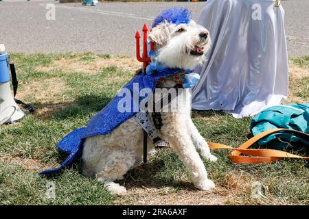 City of Brighton & Hove Seafront, East Sussex, Großbritannien. March of the Mermaids Marine Environmental Campaign Group arbeitet mit Surfers gegen die jährliche Abwasserparade entlang der Küste von Brighton zusammen, um den Meeresschutz an der Südküste Englands hervorzuheben. 1. Juli 2023 Kredit: David Smith/Alamy Live News Stockfoto