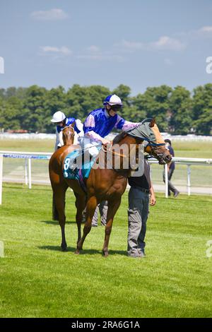 Jockey William Pyle auf Showmedemoney auf der York Racecourse. Stockfoto