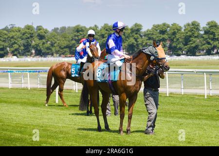 Jockey William Pyle auf Showmedemoney auf der York Racecourse. Stockfoto