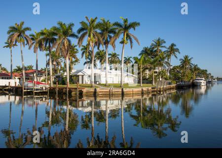 Fort Lauderdale, Florida, USA. Blick über den ruhigen Wasserweg im Nurmi Isles Viertel, am frühen Morgen, königliche Palmen spiegeln sich in stillem Wasser. Stockfoto