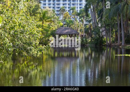 Fort Lauderdale, Florida, USA. Blick über das ruhige Bonnet House Slough, einen See in den Gärten des historischen Bonnet House, auch bekannt als Bartlett Estate. Stockfoto