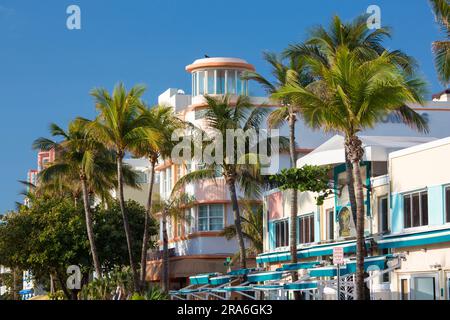 Miami Beach, Florida, USA. Farbenfrohe Hotelfassaden und majestätische Palmen, Ocean Drive, Miami Beach Architectural District, South Beach. Stockfoto