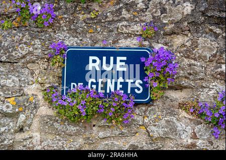 französisches Straßenschild an einer alten Steinmauer, teilweise überwuchert von blühenden dalmatinischen Glockenblumen in Thegonaq in der Bretagne, Frankreich Stockfoto