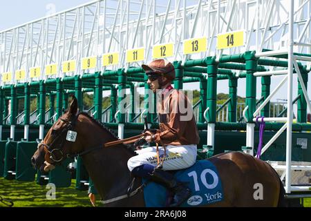 Jockey Ben Robinson über Travel Candy auf der York Racecourse. Stockfoto