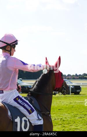 Jockey Daniel Muscutt spritzt an einem heißen Tag bei den York Races Wasser über den California State. Stockfoto