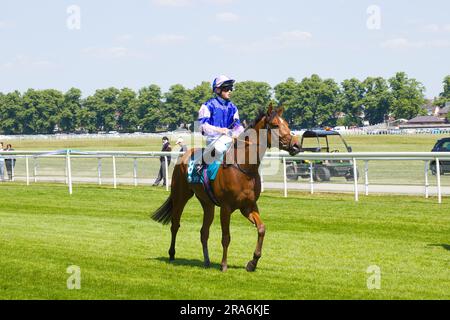 Jockey William Pyle auf Showmedemoney auf der York Racecourse. Stockfoto