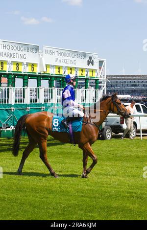 Jockey William Pyle auf Showmedemoney auf der York Racecourse. Stockfoto