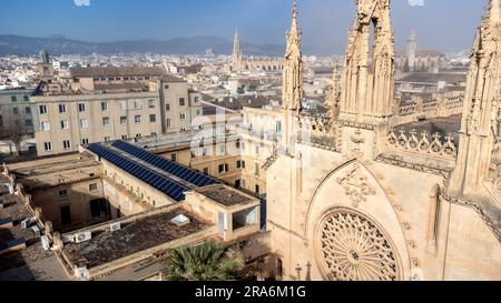 Luftaufnahme von Drohnen mit Blick auf die historische Skyline von Palma de Mallorca, einer modernen und dennoch historischen Stadt auf der balarischen spanischen Insel Mallorca. Stockfoto