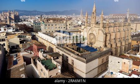 Luftaufnahme von Drohnen mit Blick auf die historische Skyline von Palma de Mallorca, einer modernen und dennoch historischen Stadt auf der balarischen spanischen Insel Mallorca. Stockfoto