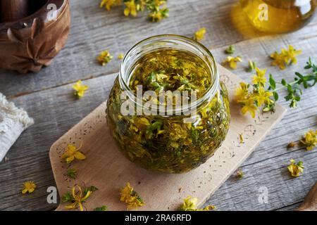 Herstellung von Kräuteröl aus frischen St. Johanniswürzblumen in einem Glasgefäß Stockfoto