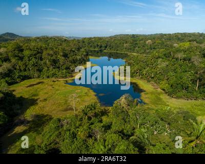 Luftaufnahme des tropischen Regenwalds, des Soberania-Nationalparks, des Panamakanals, Panamas - Stockfoto Stockfoto