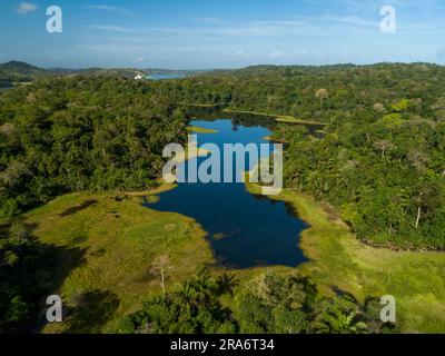 Luftaufnahme des tropischen Regenwalds, des Soberania-Nationalparks, des Panamakanals, Panamas - Stockfoto Stockfoto