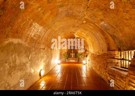 Wat Umong Tempel, Chiang Mai. Thailand. Buddha-Statue im Tunnel. Stockfoto