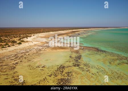 Hamelin Pool Marine Nature Reserve in der zum UNESCO-Weltkulturerbe gehörenden Shark Bay in Westaustralien, lebende Meerestromatoliten - Denkmäler zum Leben Stockfoto