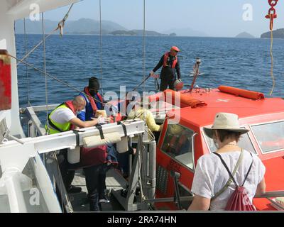 Die Besatzungsmitglieder des Kreuzfahrtschiffs „Heritage Adventurer“ helfen den Passagieren beim Einsteigen in eine der Ausschreibungen für einen Transfer von Schiff zu Land. Stockfoto