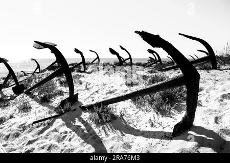 Der Friedhof der Anker in Tavira Island, Algarve, Portugal Stockfoto