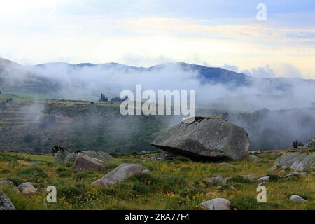 Landschaft zwischen Mont Lozere und Les Bondons. Cevennes-Nationalpark, Occitanie, Frankreich Stockfoto