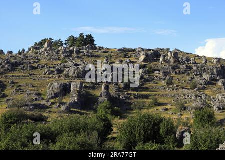 Das Chaos von Nimes-le-Vieux, ruiniforme Stätte. Cevennes-Nationalpark. Okzitanien, Frankreich Stockfoto