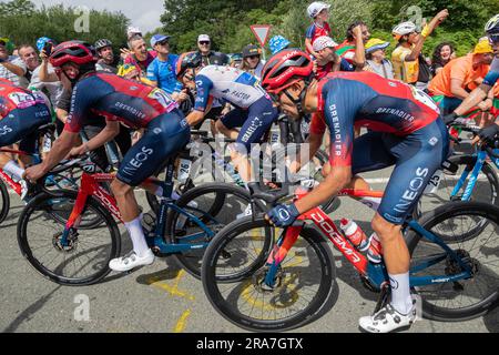 Bilbao, Baskenland, Spanien, 1. Juli 2023, DANIEL FELIPE MARTINEZ POVEDA von INEOS GRENADIERN, die während der Tour de France Grand Abfahrt, stage1., 182km von Bilbao nach Bilbao während der 110. Ausgabe der Tour de France auf die Cote de Vivero klettern. Kredit: Nick Phipps/Alamy Live News Stockfoto