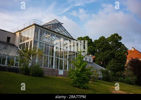 Der Botanische Garten der Universität (Botanisk hage) ist Norwegens ältester botanischer Garten, eine kostenlose Oase und ein großartiger Ort, um dem Lärm der Stadt zu entfliehen. Stockfoto