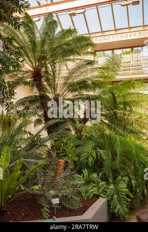 Der Botanische Garten der Universität (Botanisk hage) ist Norwegens ältester botanischer Garten, eine kostenlose Oase und ein großartiger Ort, um dem Lärm der Stadt zu entfliehen. Stockfoto