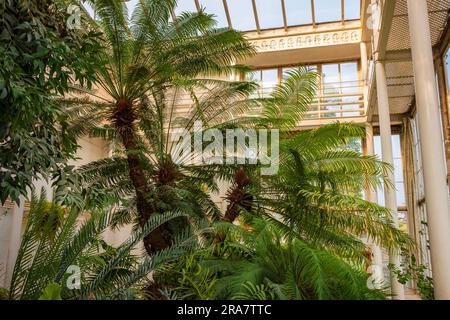 Der Botanische Garten der Universität (Botanisk hage) ist Norwegens ältester botanischer Garten, eine kostenlose Oase und ein großartiger Ort, um dem Lärm der Stadt zu entfliehen. Stockfoto