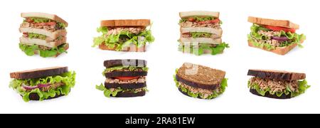 Collage verschiedener köstlicher Sandwiches mit Thunfisch auf weißem Hintergrund Stockfoto