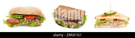 Collage verschiedener köstlicher Sandwiches mit Thunfisch auf weißem Hintergrund Stockfoto