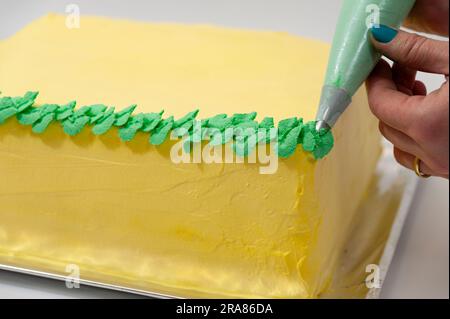 Eine Frau, die einen grünen und gelben Geburtstagskuchen mit einer Nahaufnahme der Konditortüte dekoriert. Stockfoto