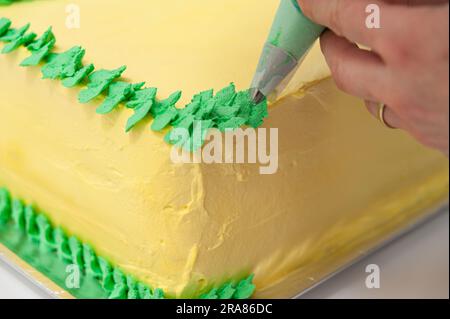 Eine Frau, die einen grünen und gelben Geburtstagskuchen mit einer Nahaufnahme der Konditortüte dekoriert. Stockfoto