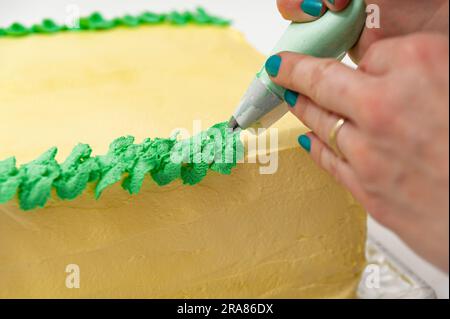 Eine Frau, die einen grünen und gelben Geburtstagskuchen mit einer Nahaufnahme der Konditortüte dekoriert. Stockfoto