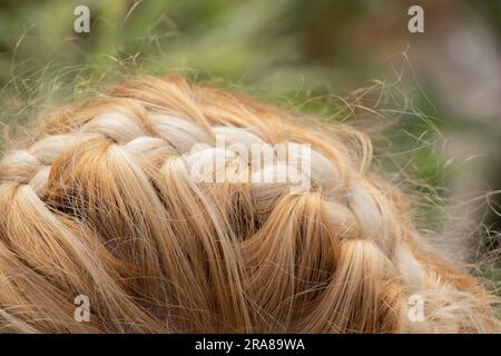 Geflochtener Stachel auf dem Kopf eines jungen blonden Mädchens Stockfoto