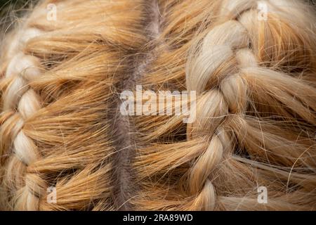 Geflochtener Stachel auf dem Kopf eines jungen blonden Mädchens Stockfoto