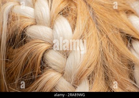 Geflochtener Stachel auf dem Kopf eines jungen blonden Mädchens Stockfoto