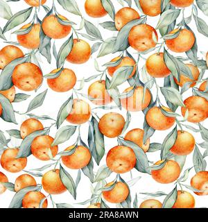 Nahtlose, wässrige Zitrusfrüchte und Blätter. Grüne Blätter und Orangenfrüchte auf weißem Hintergrund. Nahtlose Aquarelle von Mandarinen und Orangen Stockfoto