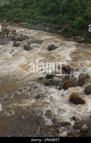 Wunderschönes Flusstal, fließender Bach, Wald und ausläufer des himalaya von terai - Dooars Region. Fließender Balason-Fluss in Dudhia, darjeeling in indien Stockfoto