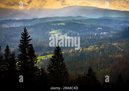 Bewaldete schlesische Beskiden am Main Beskids Trail, Woiwodschaft Schlesien, Polen. Stockfoto