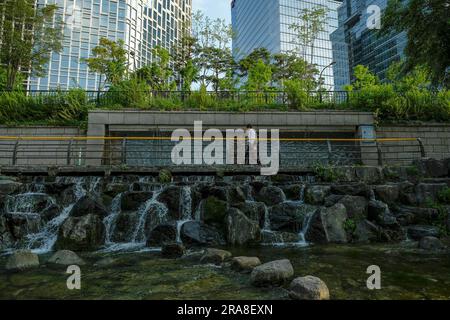 Seoul, Südkorea - 28. Juni 2023: Cheonggyecheon Stream im Zentrum von Seoul, Südkorea. Stockfoto