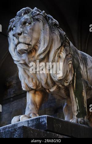 Lion-Skulptur in der Feldherrnhalle (Feldmarshallhalle) in der Ludwigs-Straße in München Stockfoto