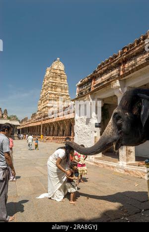 Anhänger, die Segen vom Tempelelefanten im Virupaksha-Tempel in Hampi, Karnataka, Südindien, Indien, Asien erhalten. UNESCO-Weltkulturerbe Stockfoto