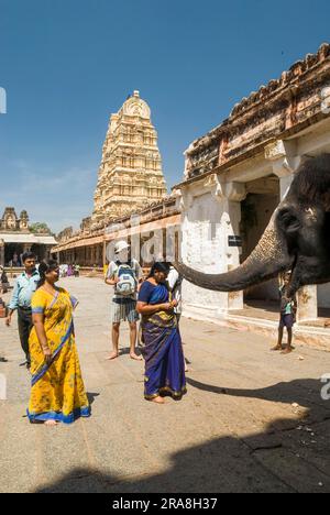 Anhänger, die Segen vom Tempelelefanten im Virupaksha-Tempel in Hampi, Karnataka, Südindien, Indien, Asien erhalten. UNESCO-Weltkulturerbe Stockfoto