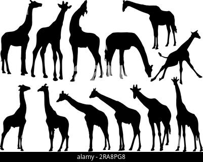 Set mit Giraffe Silhouette Stock Vektor