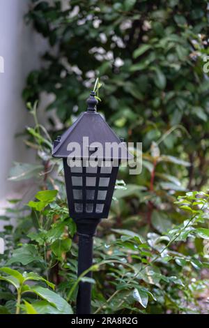 Schwaches Pollicht im Garten Stockfoto