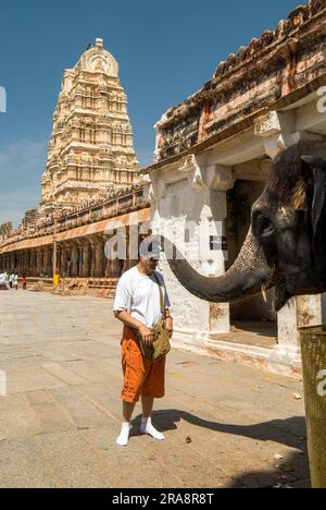 Anhänger, die Segen vom Tempelelefanten im Virupaksha-Tempel in Hampi, Karnataka, Südindien, Indien, Asien erhalten. UNESCO-Weltkulturerbe Stockfoto